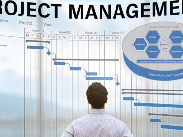 Project Manager Careers Umhlanga 2026