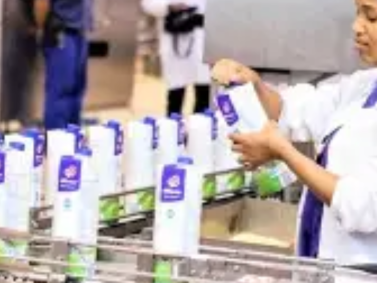 General Worker Jobs at Clover (2026): Requirements and How to Apply